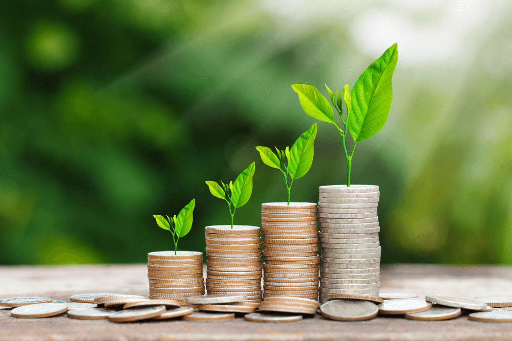 hacer crecer el dinero