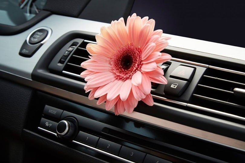 Ambientadores refrescantes para t