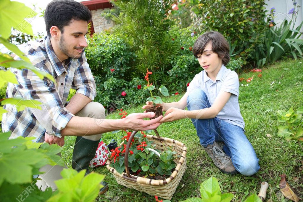 jardinería para todos