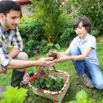 jardinería para todos