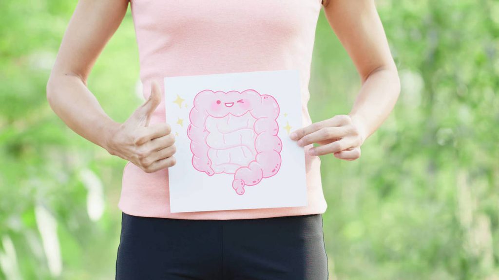 Cómo puedo reequilibrar mi flora intestinal